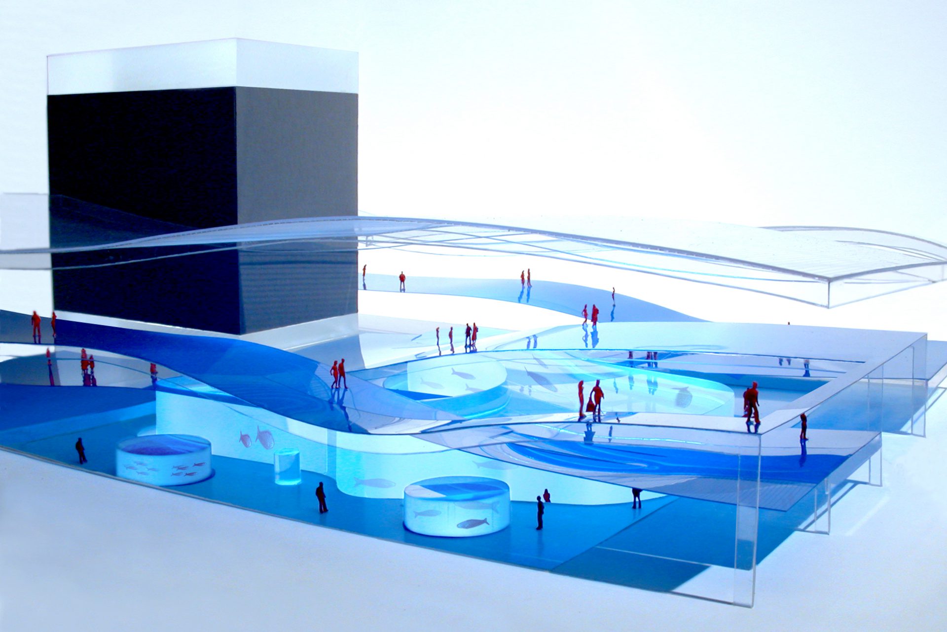 Ozeaneum Stralsund Neubau Meeres-Naturkundemuseum-3