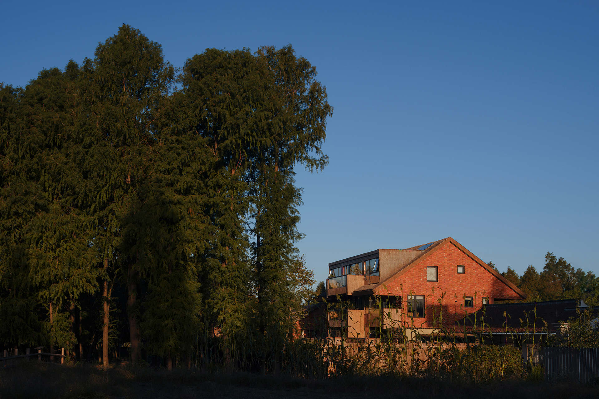 崇明松慢民宿丨中国上海丨RooMoo 如莫空间-17