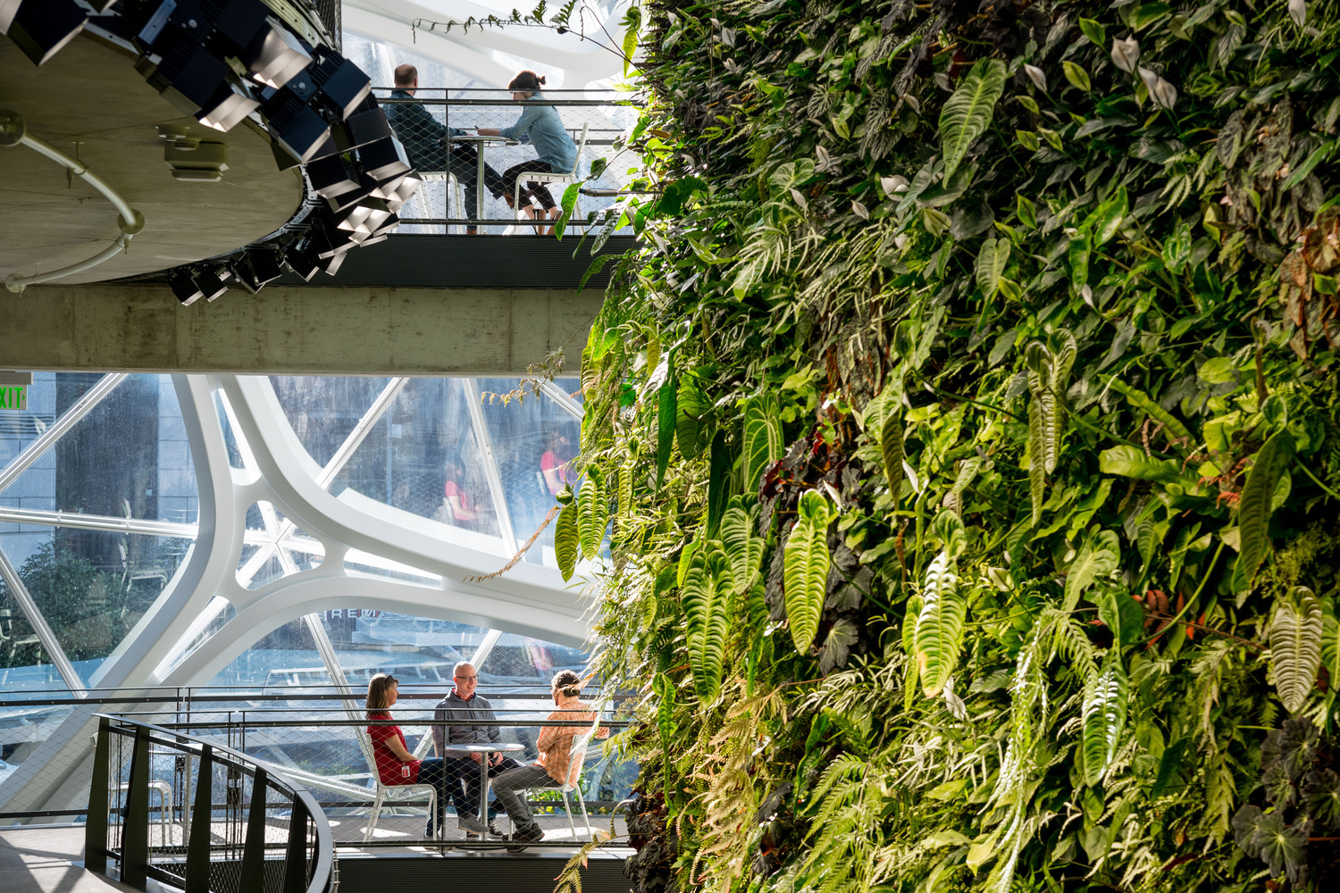 绿意盎然 Amazon Spheres 室内设计赏析-9