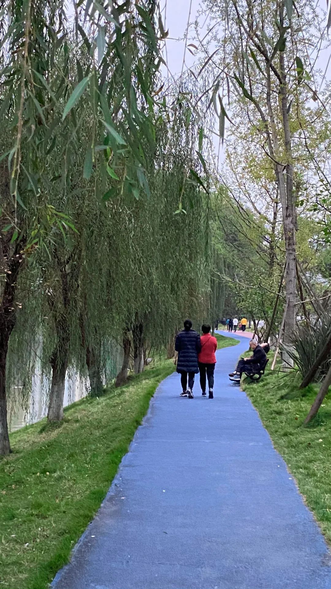 万科·天荟 | 新旧融合,打造城市新名片-79