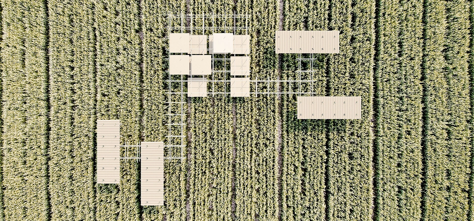 玉米人丨SAVE Arquitectos-11