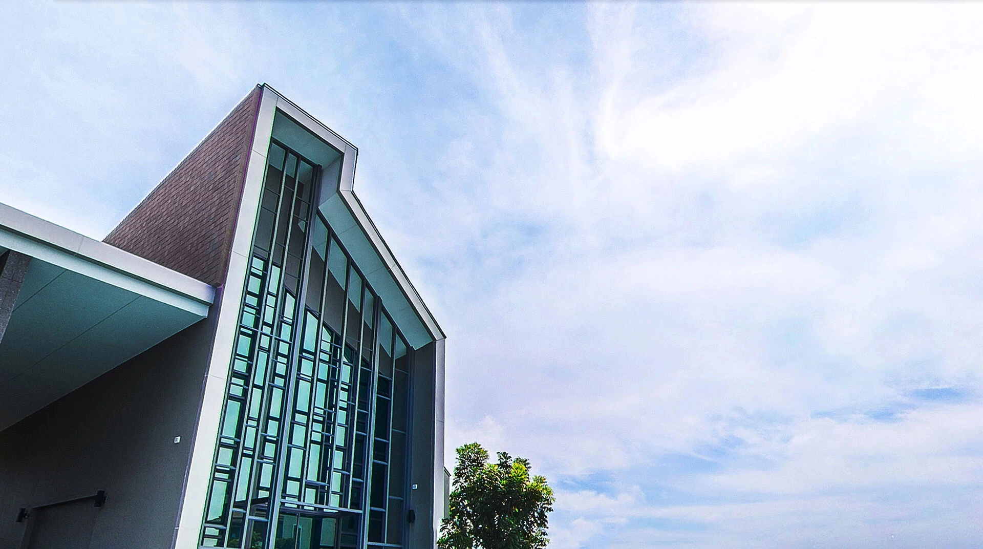 植物精英和帕森-26