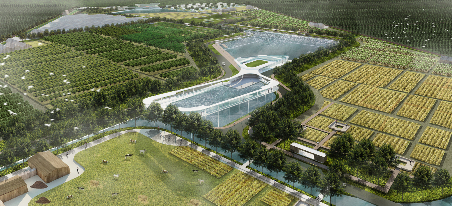 越南 Cuchi 有机农场-23