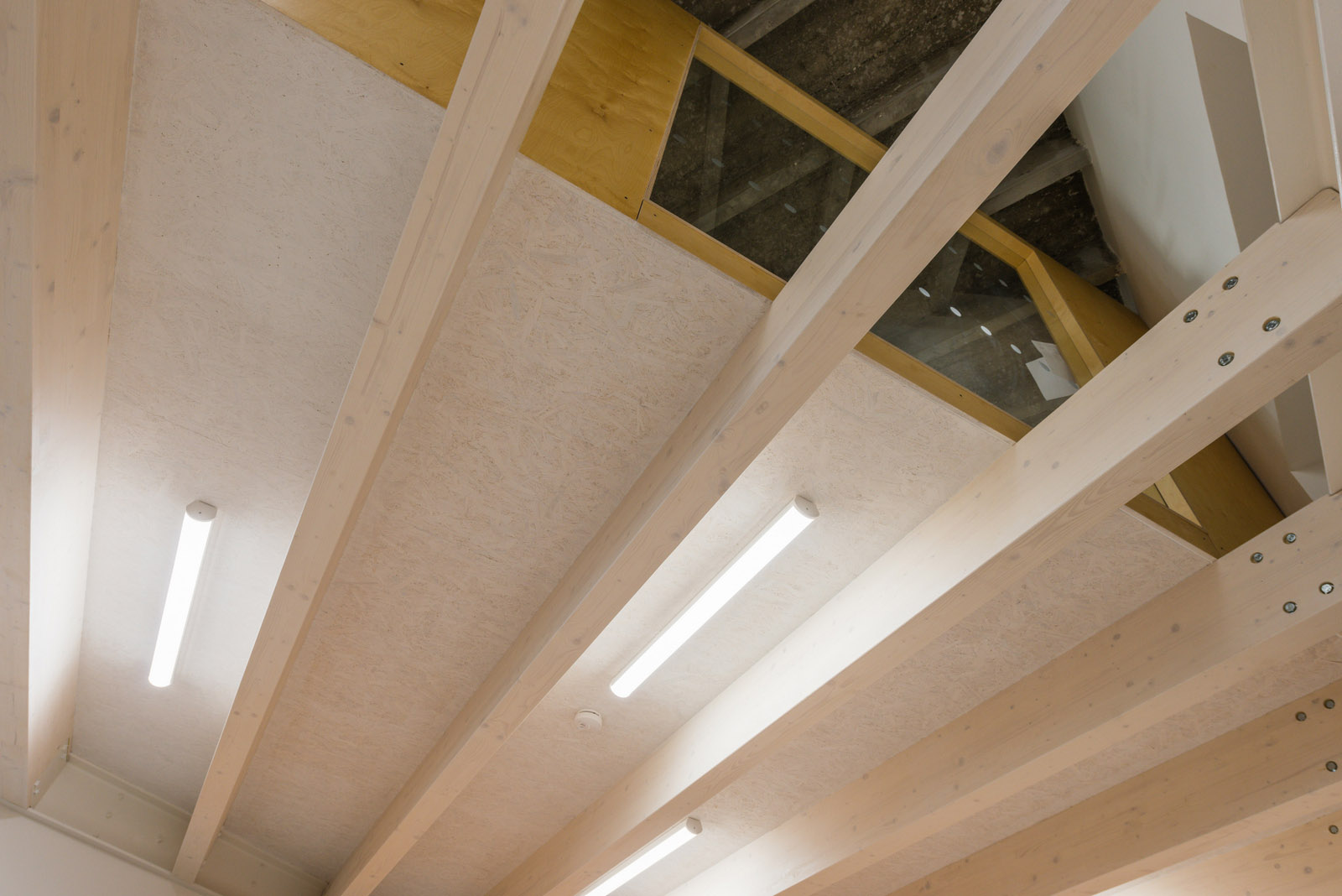 捷克 Scio 小学丨masparti-15