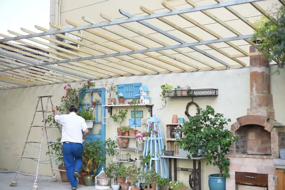 78岁爷爷改造荒废院子，为孙女建起一座花园-115