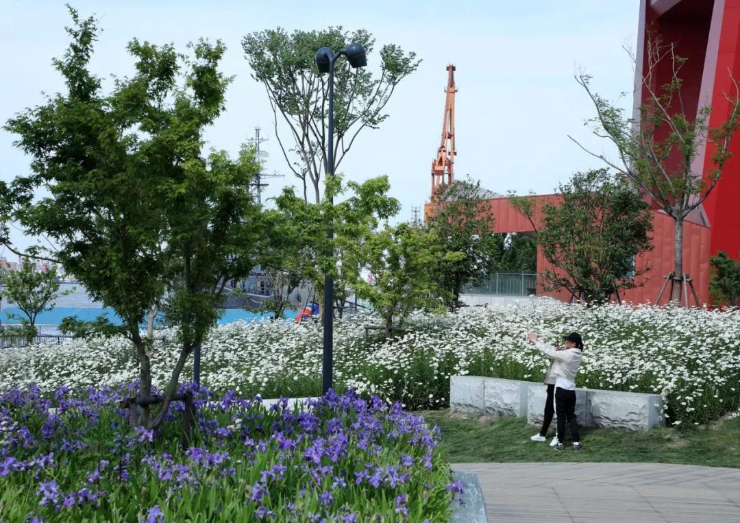 杨浦大桥区域滨江绿地生态项目，打造城市水岸新生活-123