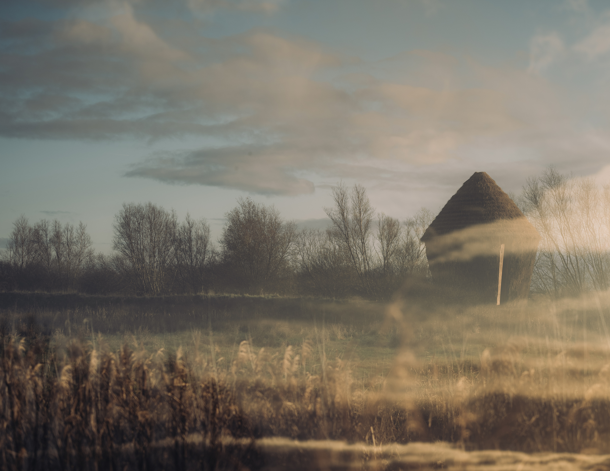 Mother Pavilion / Studio Morison-38