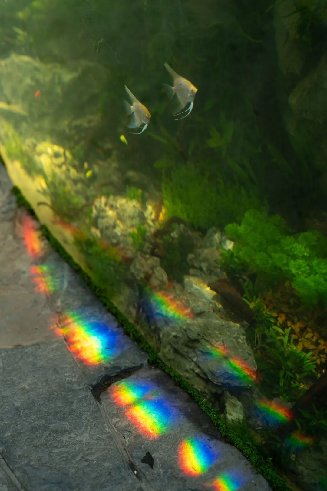 重庆光环花园城·世界树 光环2.0之机械魔法森林丨中国重庆丨WTD纬图设计-26