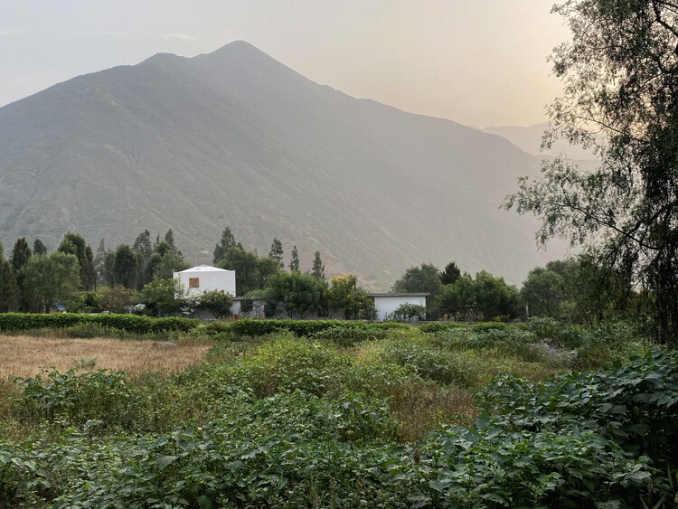 丨秘鲁丨Ghezzi Novak-24