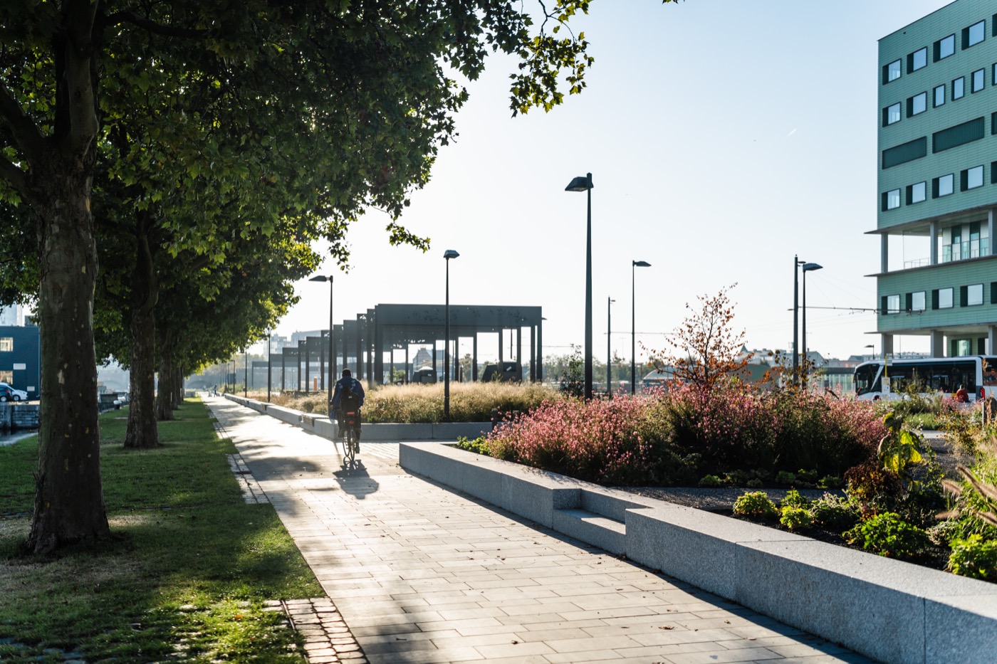 安特卫普医院公共空间设计丨比利时安特卫普丨不详-24