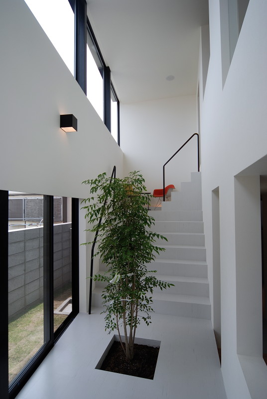 SHINGOU #121 - COGITE-29