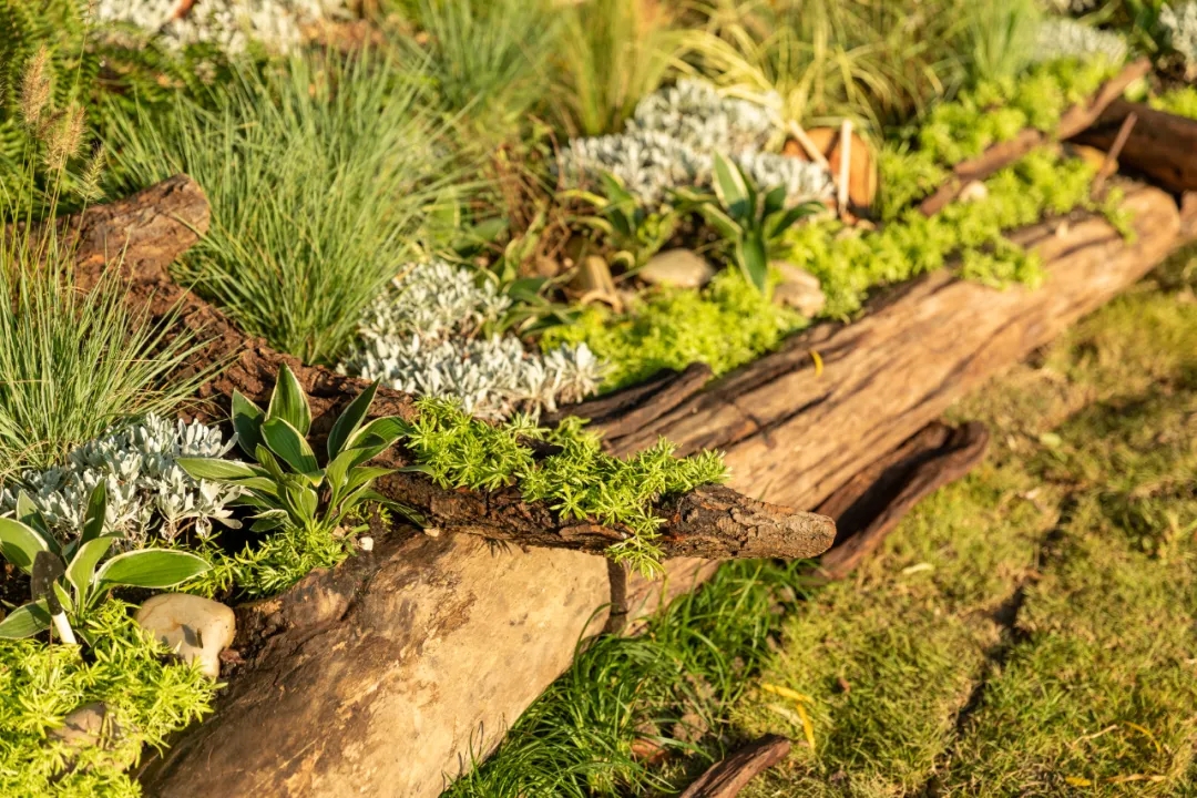 有MORE有YOUNG·新青年2021奥雅乡建营项目丨未明确提及具体设计团队-7