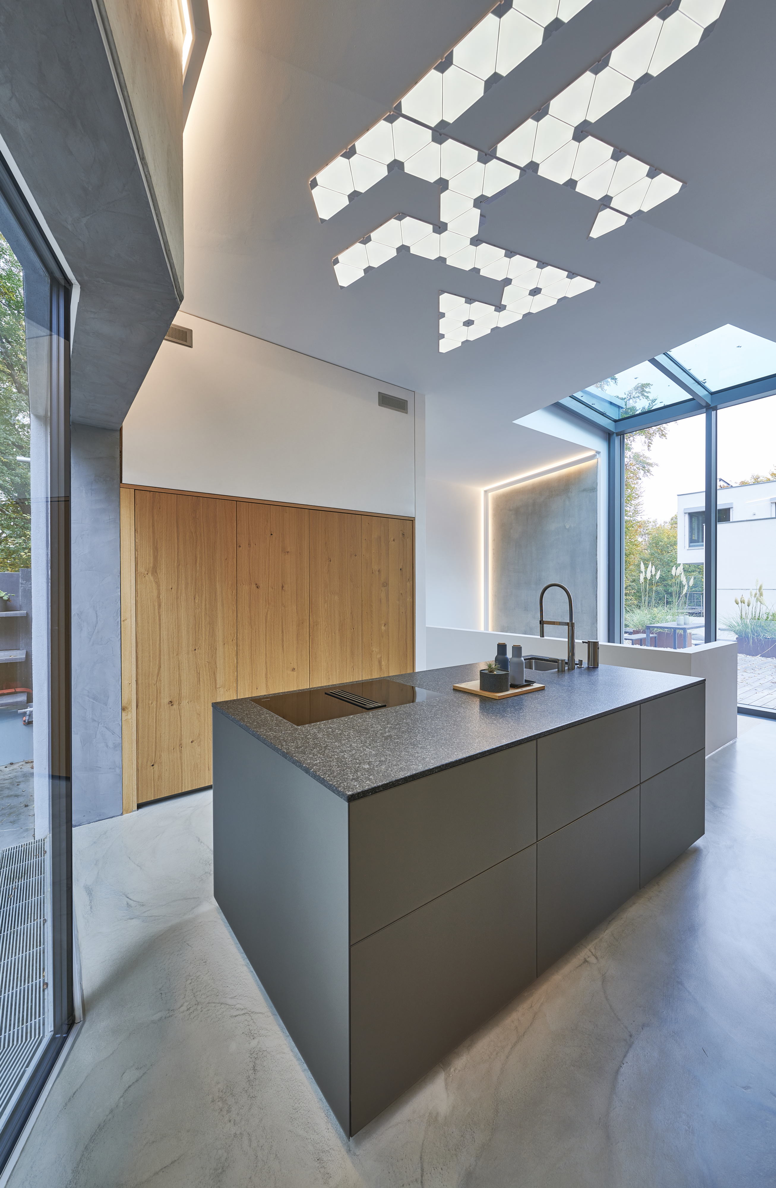 城堡山下的住宅与古橡树共生-27