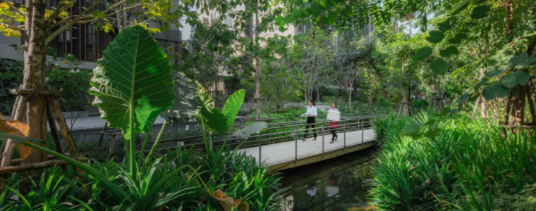 曼谷 Quarter 39 别墅景观 | 阶梯植栽与历史古树共生的绿色家园-66