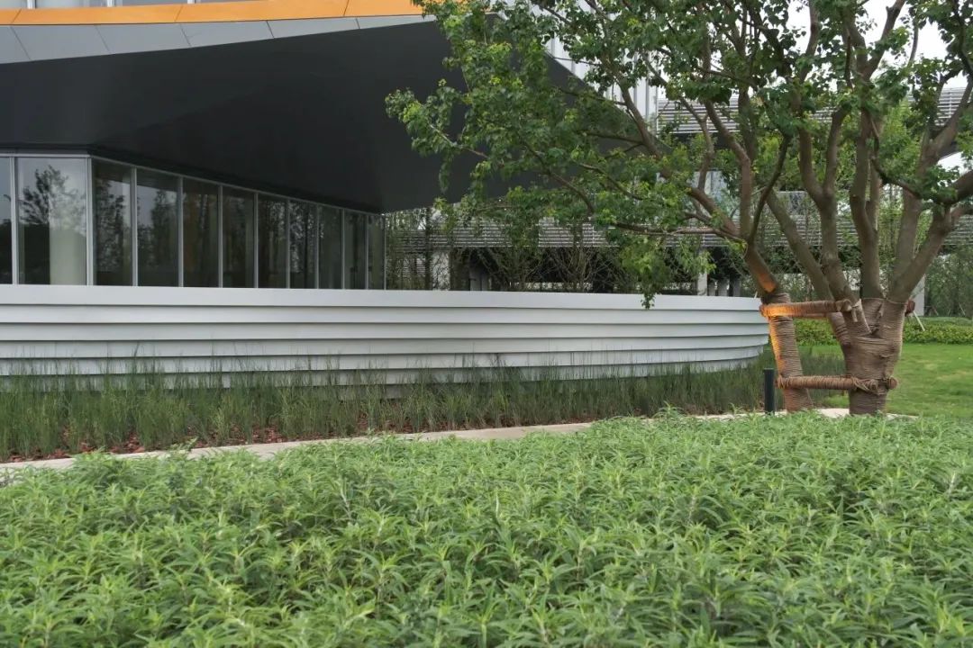 江滩浪潮公园 | 武汉长江天地-20