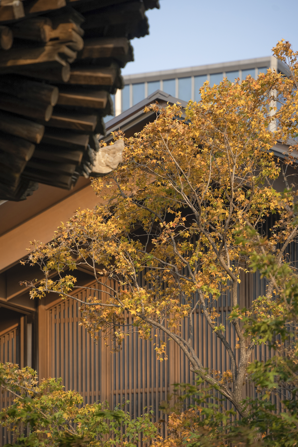 礼序东方 盛京游园 | 沈阳万科·胤樾-100