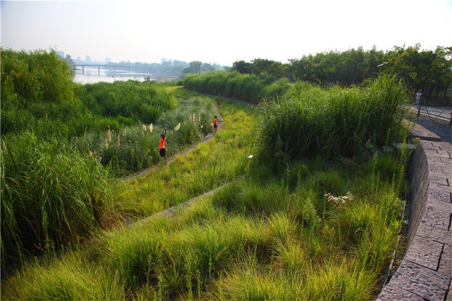 西安雁南公园(二期)丨中国西安丨土人设计(Turenscape)-270