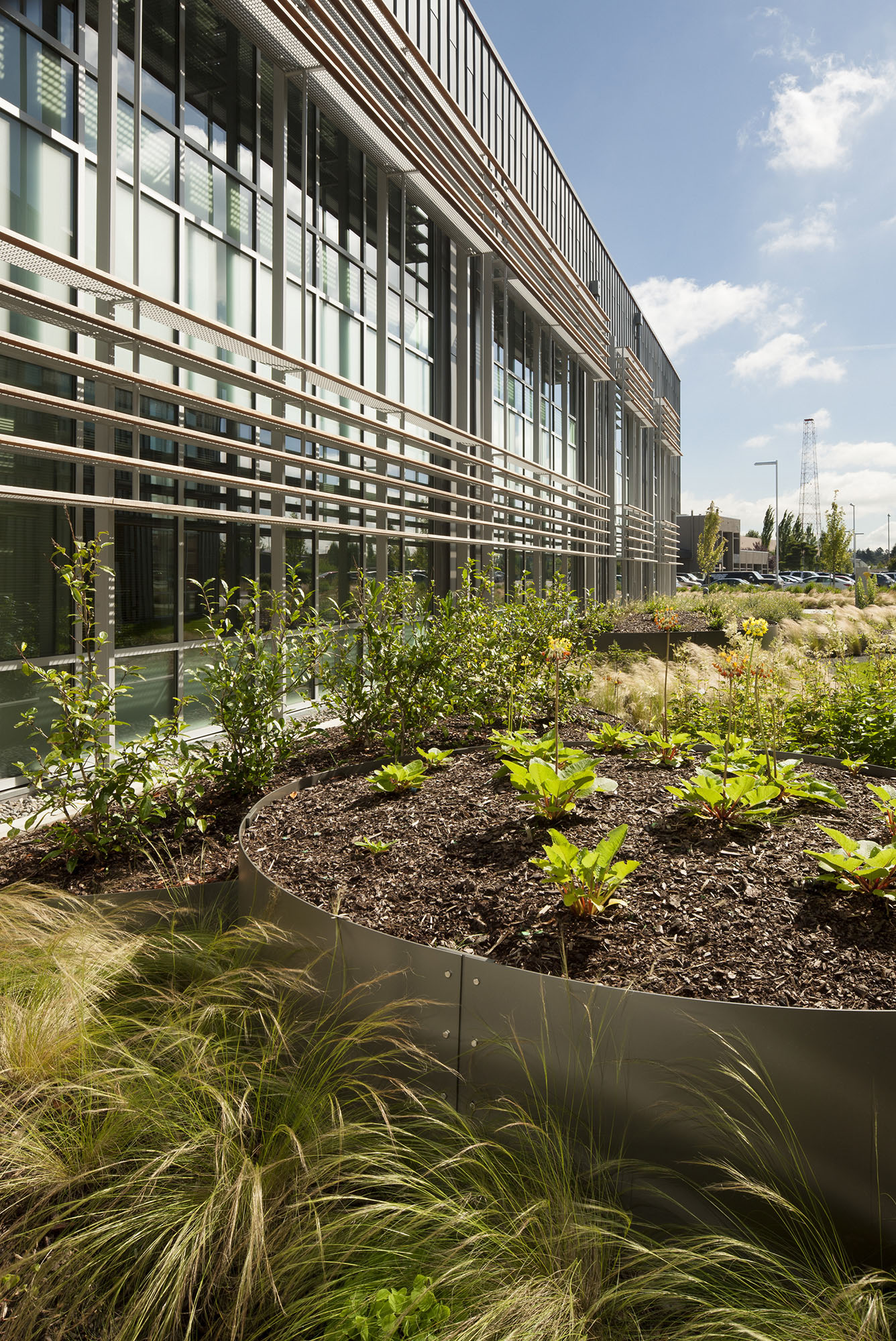 绿色环保的健康科学大楼-8