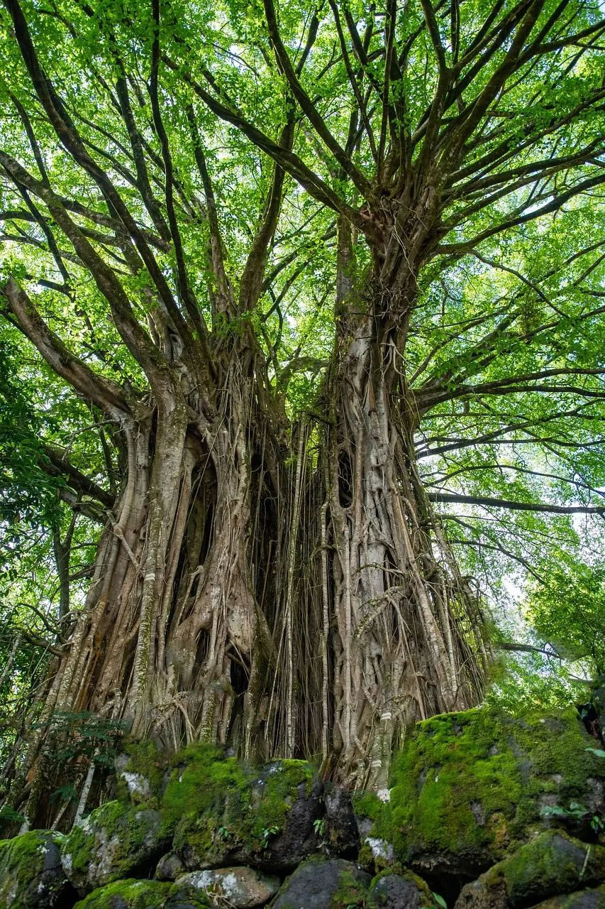 厦门中海·环东时代丨中国厦门丨赛肯思创享生活景观设计股份有限公司-18