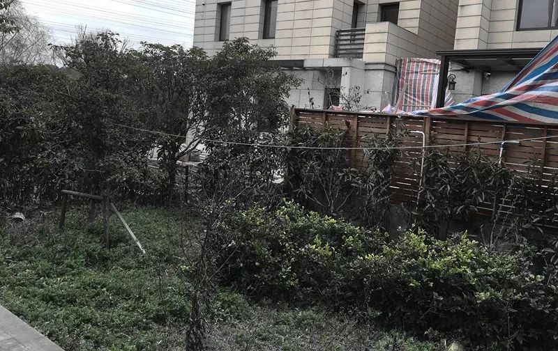 上海简约现代花园设计，实现建筑与自然的和谐共生-34