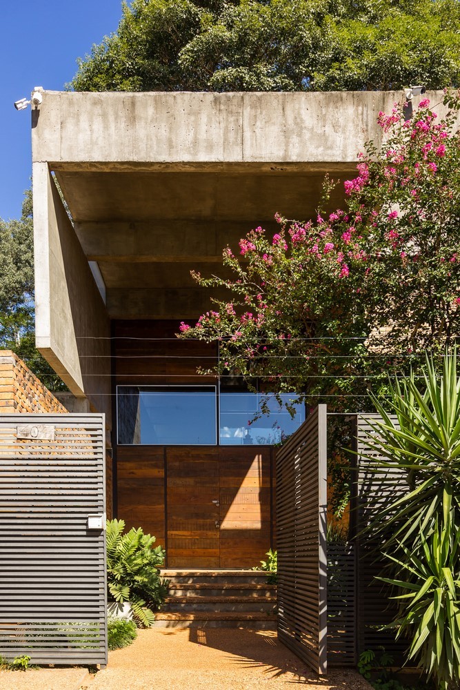 房子之间的树-12