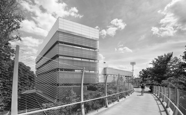 普林斯顿大学神经生物学与心理学综合体丨美国新泽西丨拉斐尔·莫内奥,Davis Brody Bond-14