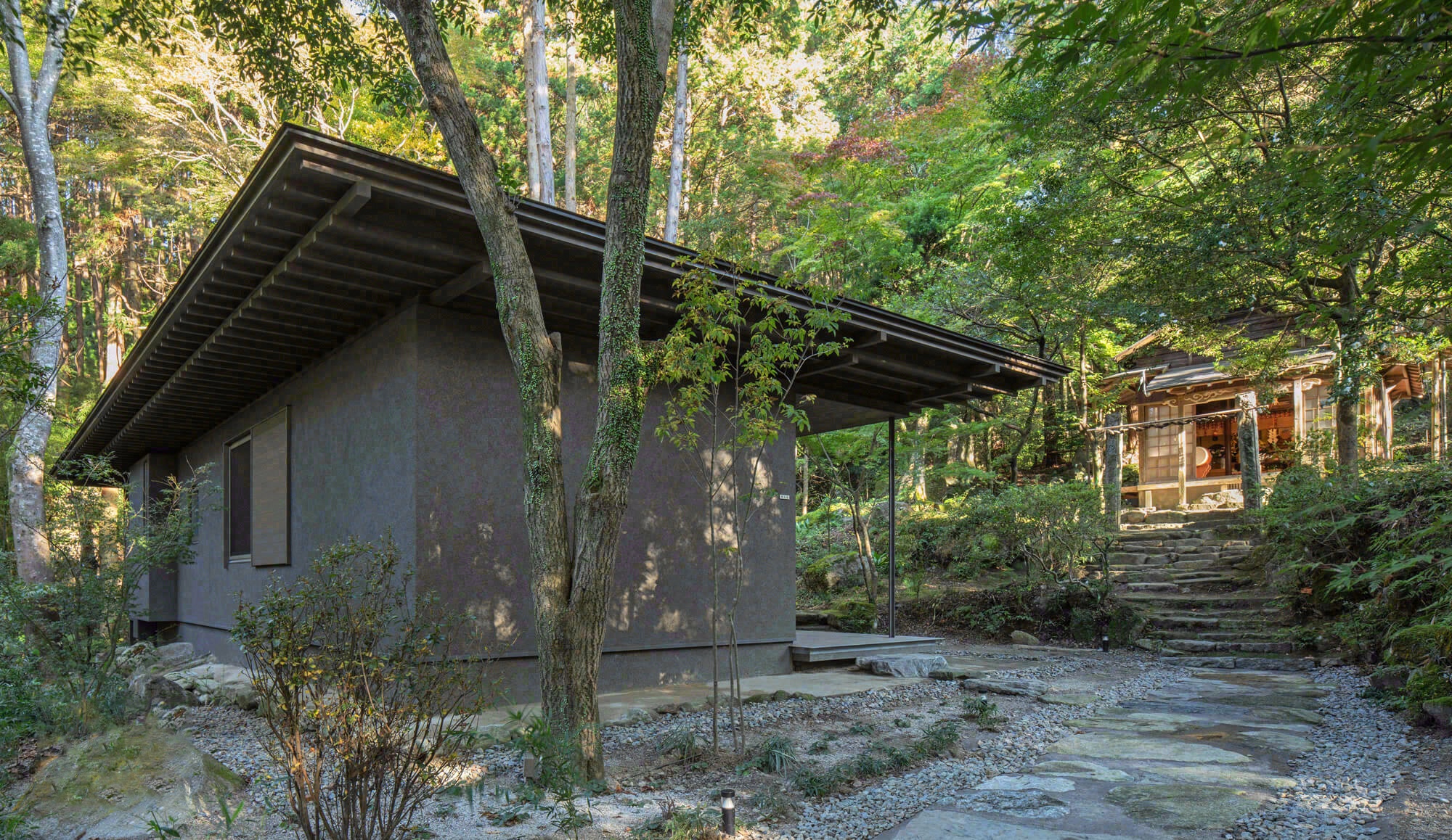 德荣寺 紫音庵丨日本福冈丨Masumi Yanase Architect Office-16