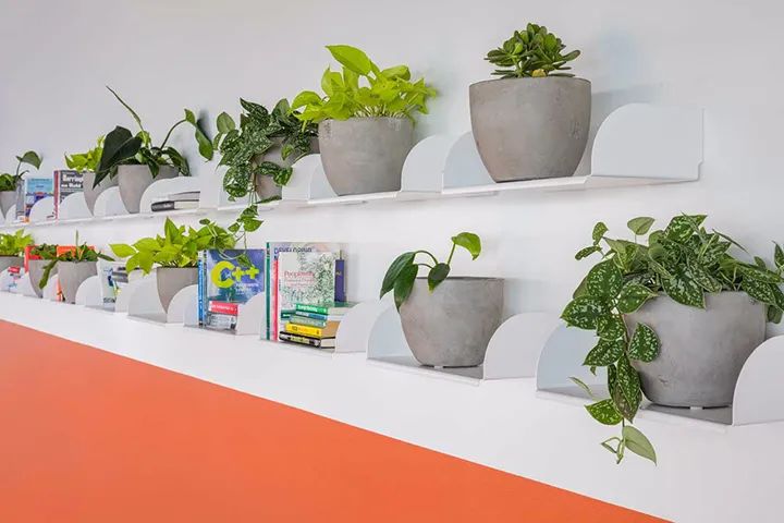 多彩医疗科技办公室,活力四溢的年轻态空间-22