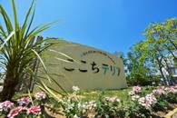 木调设计的外装外立面施工事例No·5丨ここちテリア-43