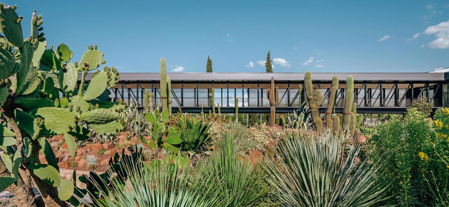 沙漠之城 | 双层氧吧的生态建筑设计-8