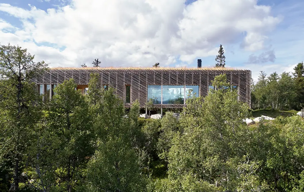 Skigard Hytte（挪威山中木屋）-6