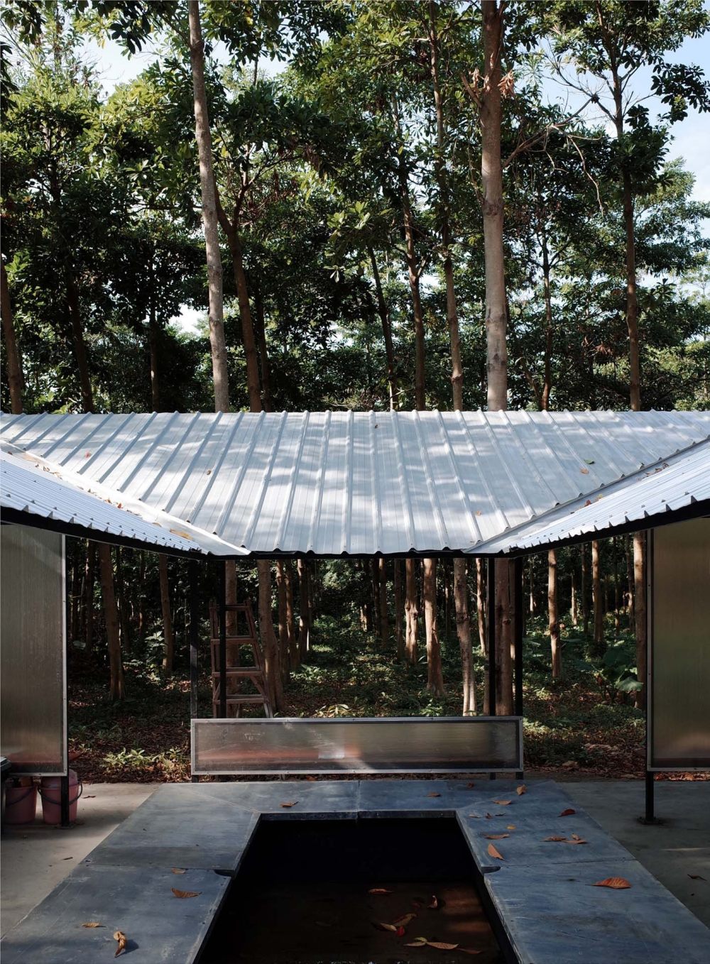 林中亭（2019）-33