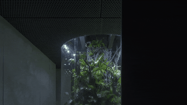 无界丨中国福建丨上海新得建筑-81