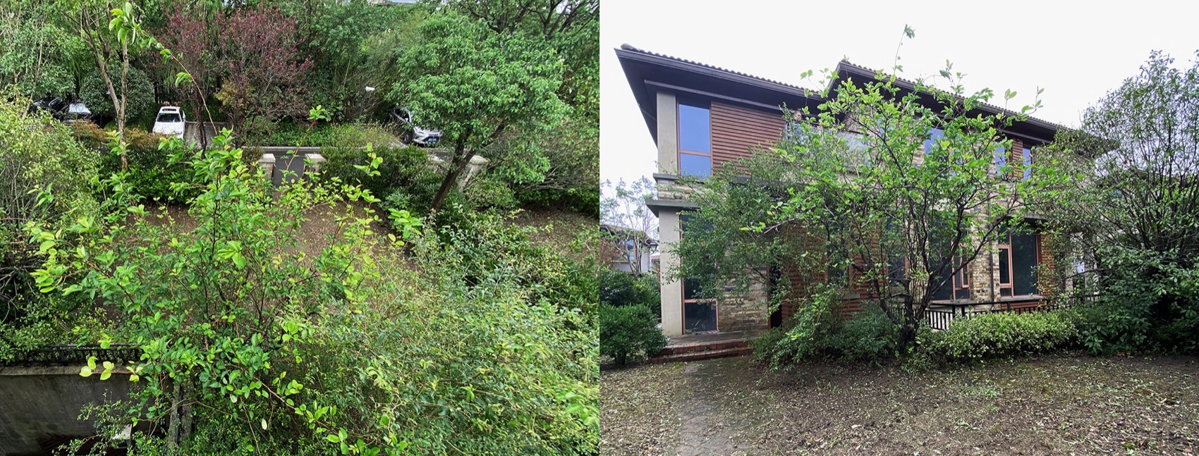 “树”居丨中国上海丨大海小燕设计工作室-14