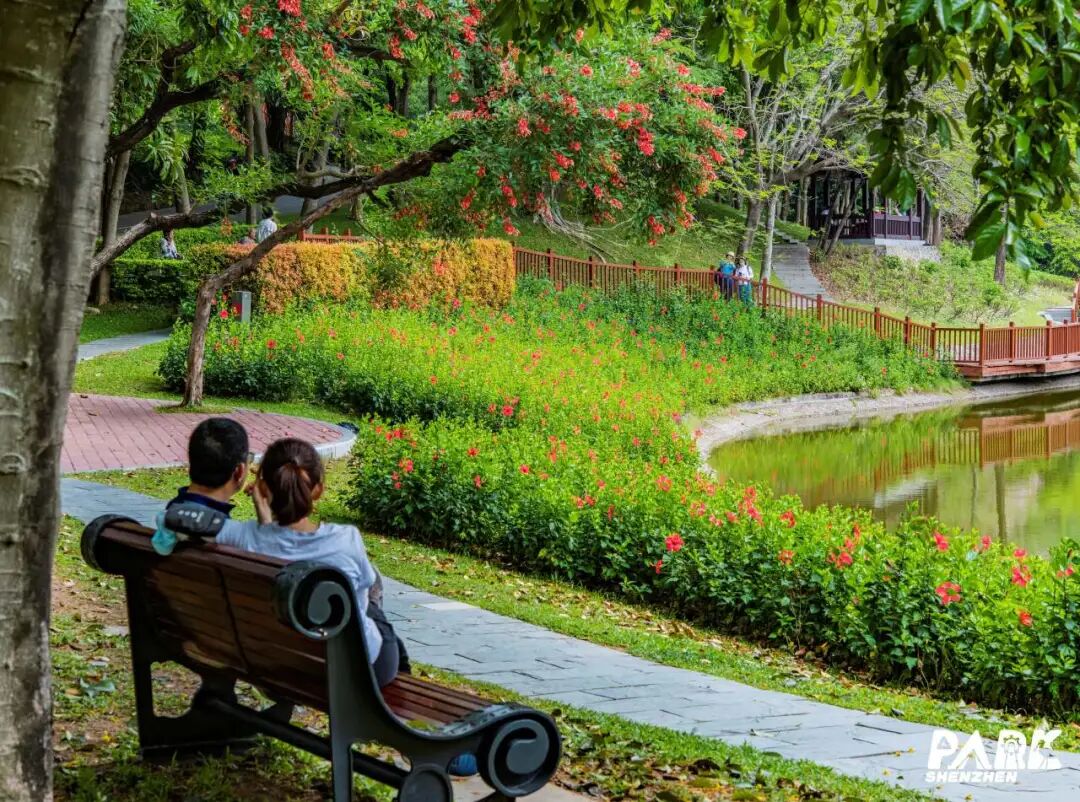 深圳园博园：用公园打开城市生活新方式-129