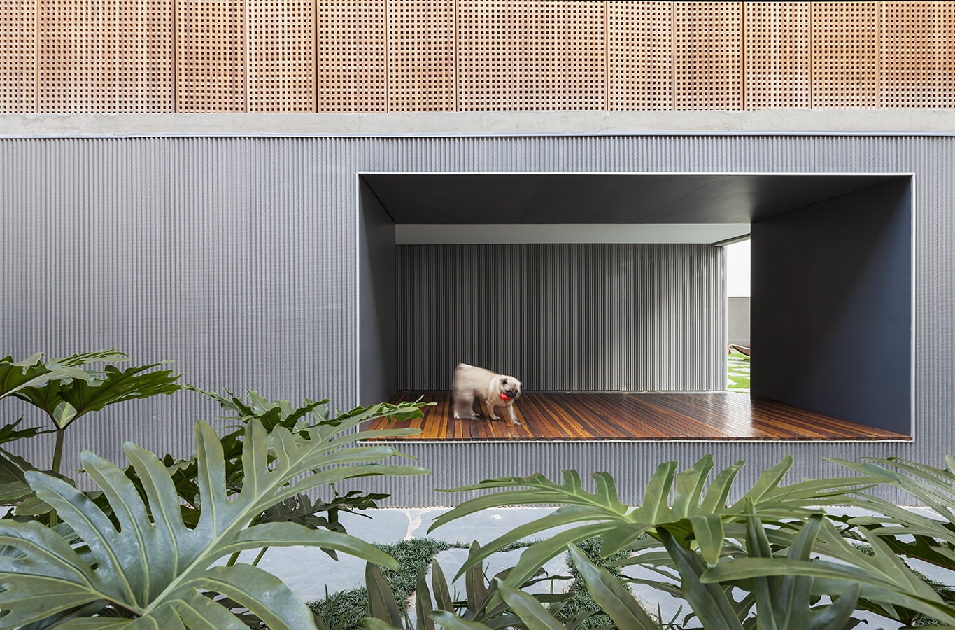 VERTICAL ITAIM studio mk27-5