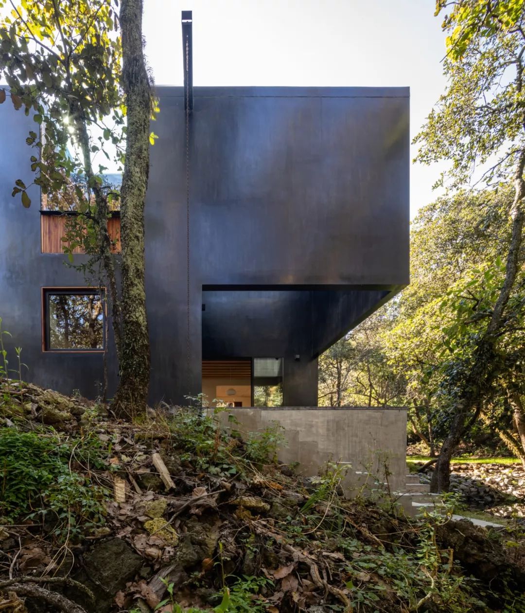 自然灵感,建筑生命——PPAA 的开放设计理念-10