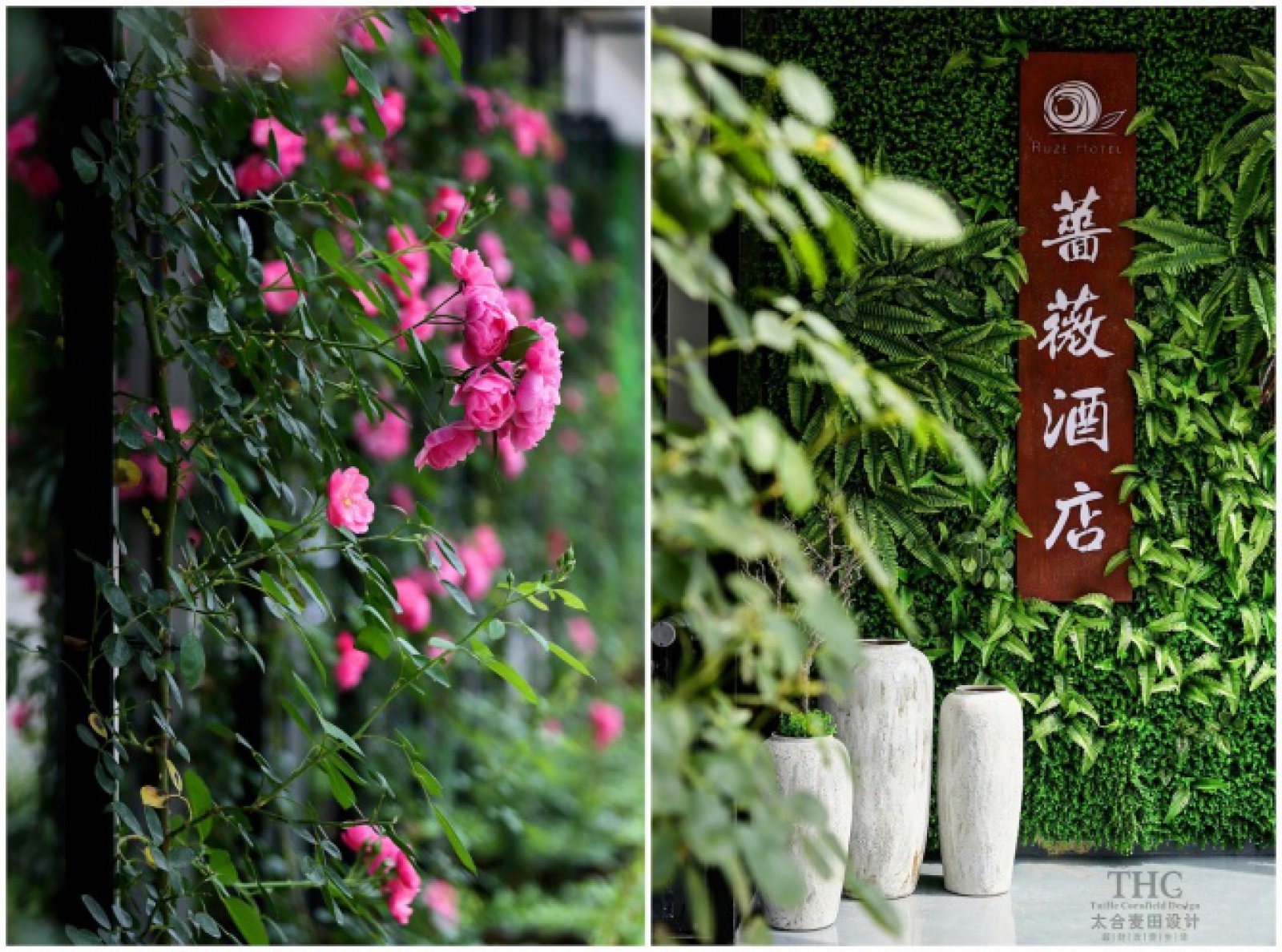 归心生活——宁波蔷薇酒店  太合麦田设计-2