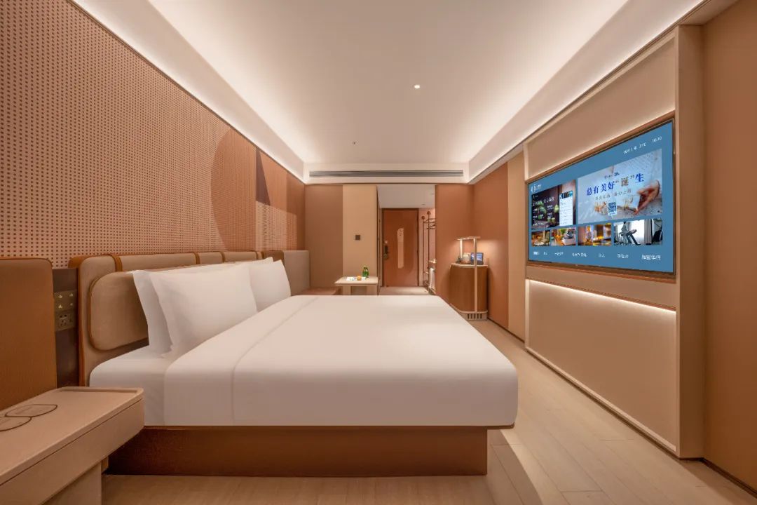 桔子 | 上新！-61