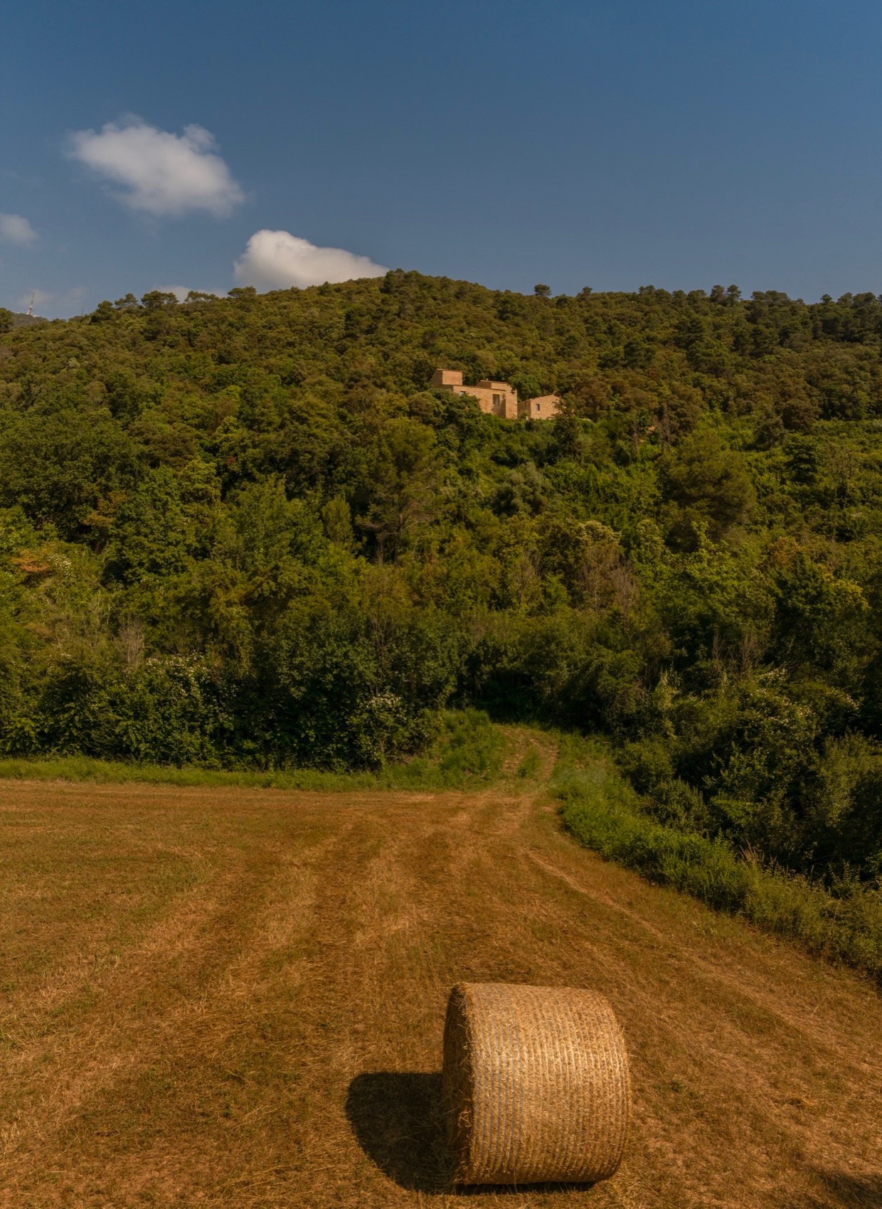 卡达尔特农庄住宅丨西班牙赫罗纳-100