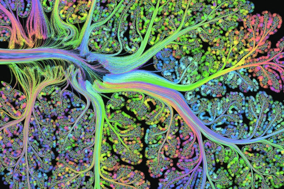 神经艺术 · 探索科学可视化的创新之路-3