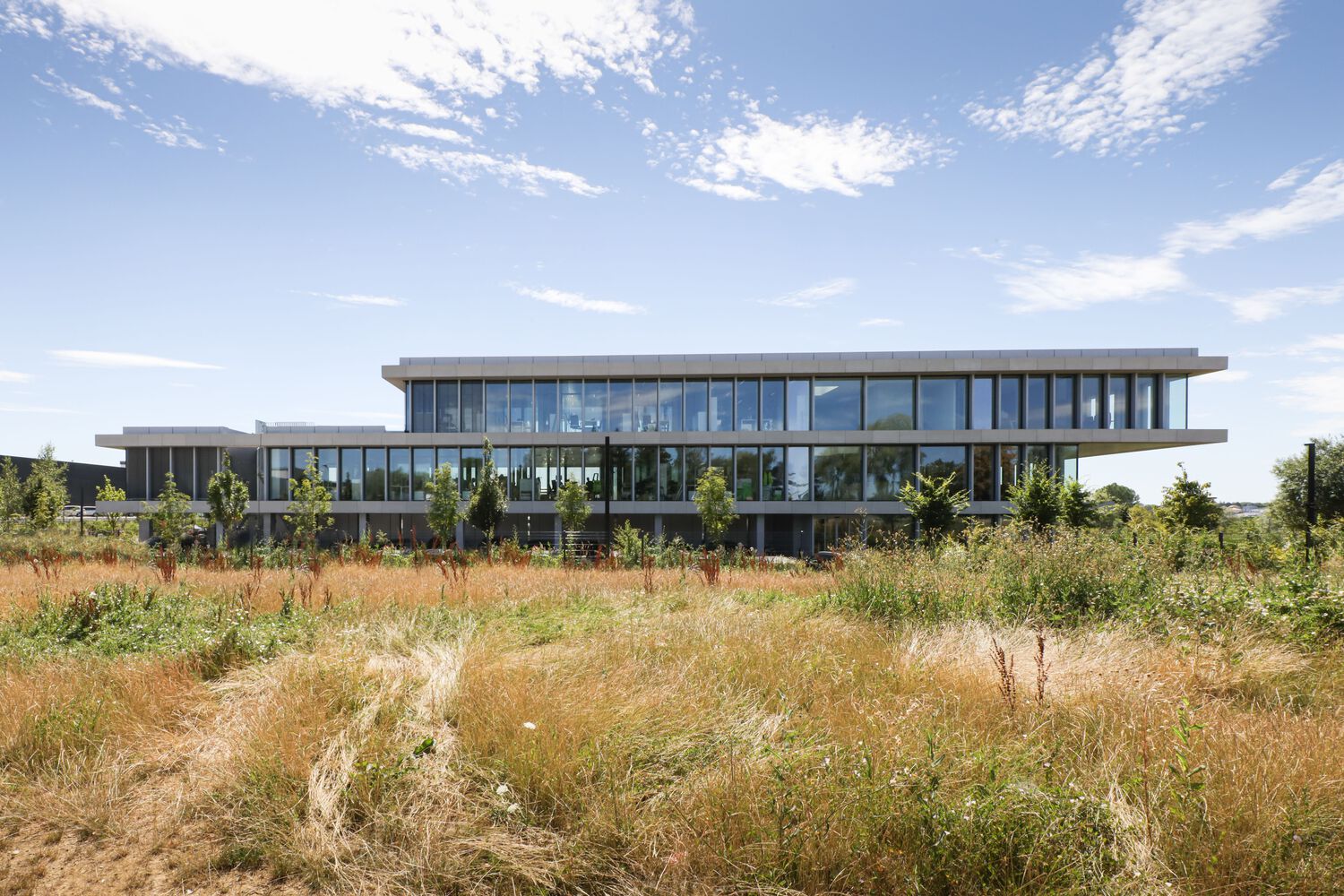 CMI 集团绿色总部大楼丨卢森堡丨Moreno Architecture-11