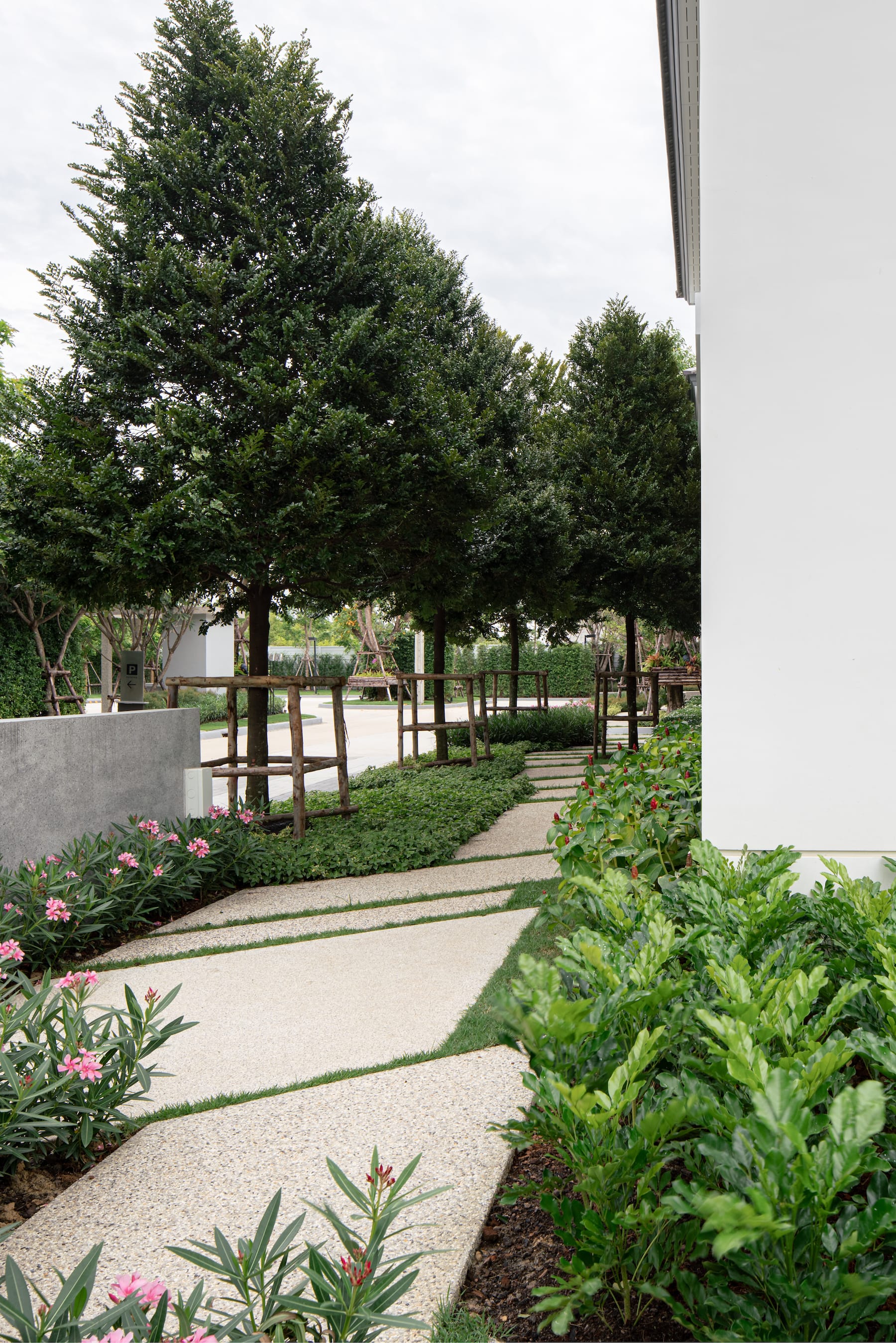 玛哈猜沙拉达波丁德拉努颂大桥(赛玛)丨泰国暖武里-36