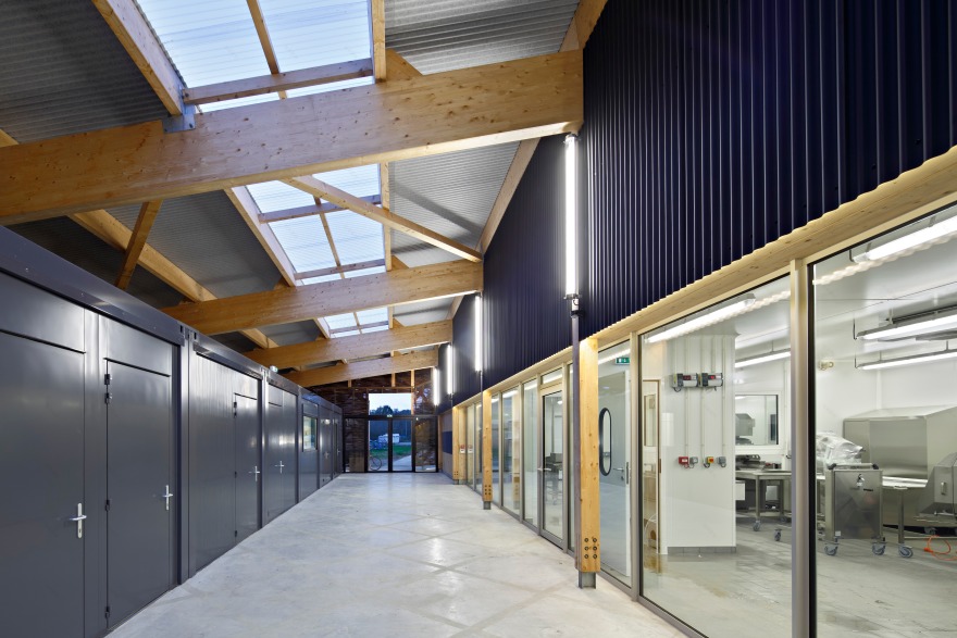 校园绿意 · 蔬菜加工车间与教学结合的设计-58