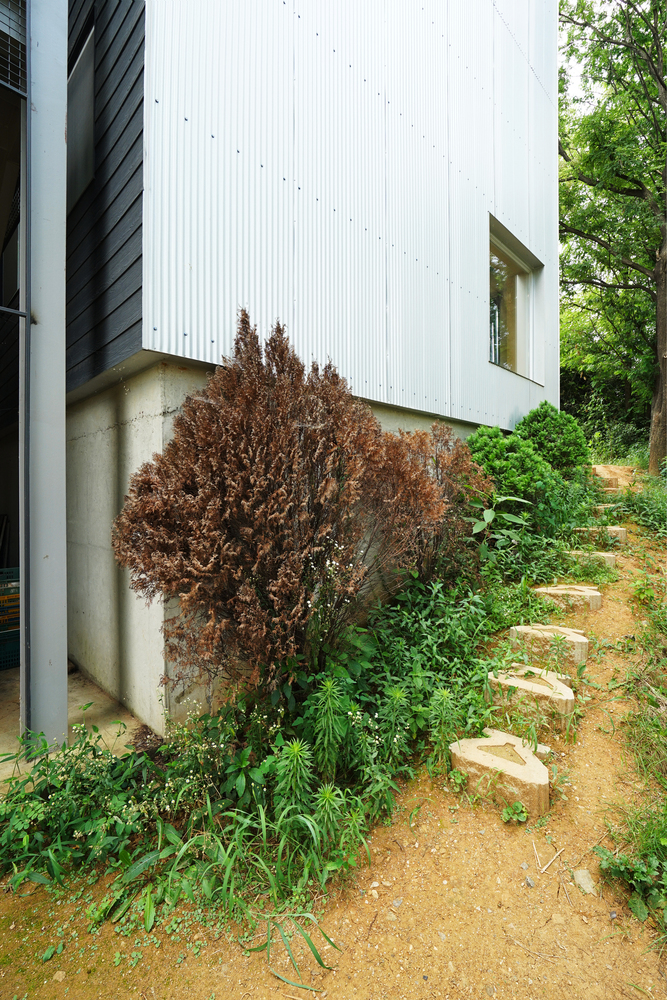 寓教于乐，感受自然的“不适学校”-49