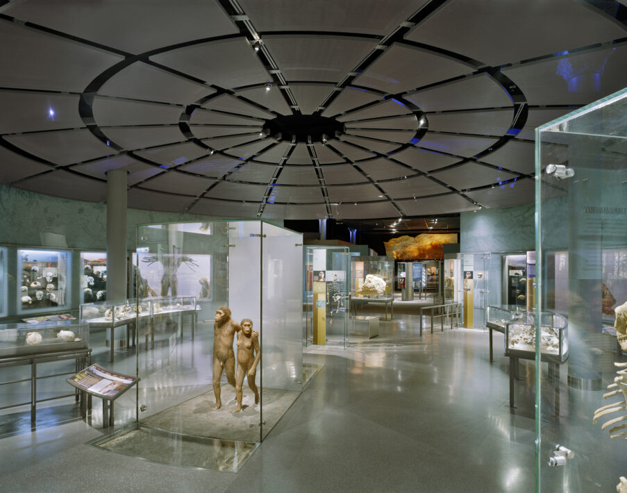 美国自然历史博物馆人类起源展厅丨美国纽约丨Perkins Eastman-0