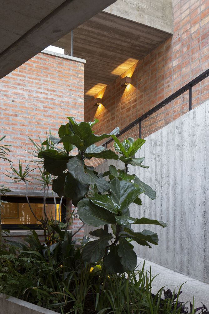 阿根廷 La Plata 市 Hipódromo House丨Federico Craig,Marianela Sarghini-26