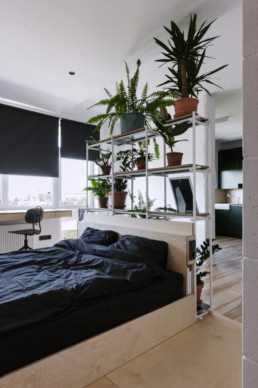 Green kitchen and wall of plants feature in low-budget apartment-13