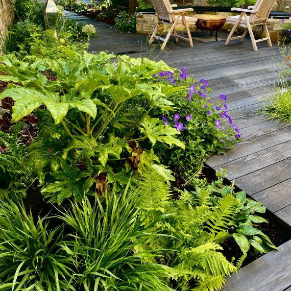 新城围墙花园丨英国爱丁堡-39