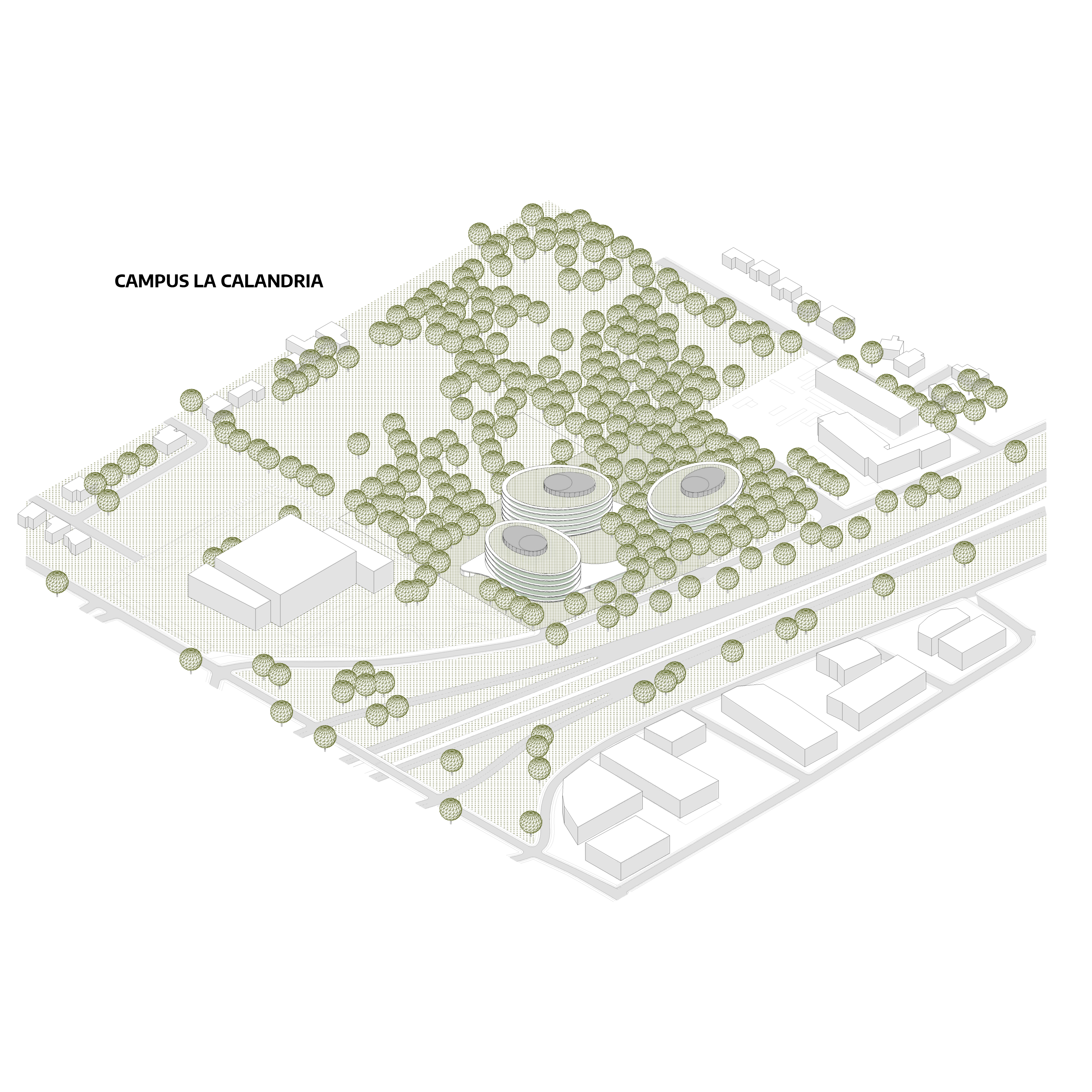 阿根廷森林中的办公园区 | MSGSSV 办公室设计-24